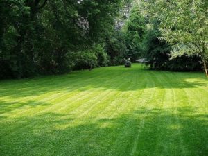 is your lawn ready for summer