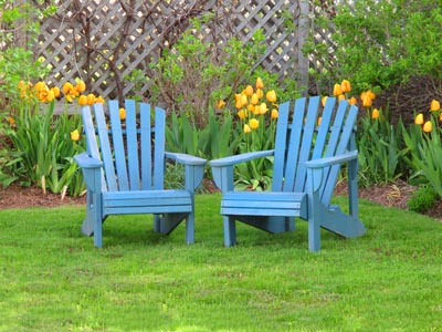 spruce up your backyard